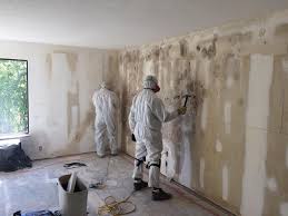 Best Biohazard Mold Removal in Tiburon, CA